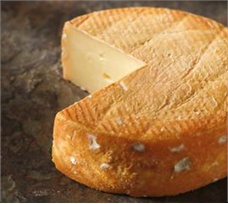 Willoughby Cheese