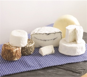 Blue Ledge Farm Sampler